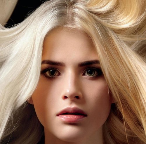 L Lorenzo No Yellow Purple Toning Shampoo - 11.83 fl. oz | Infused with Argan Oil, Jojoba Oil & Natural Herb Extracts
