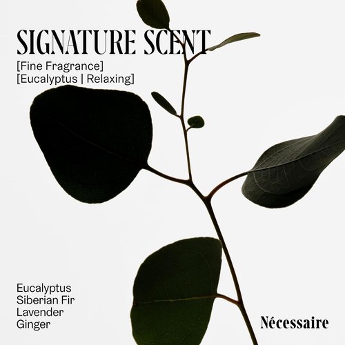 Nécessaire The Body Exfoliator - Eucalyptus AHA/BHA/PHA Formula for Smooth Skin | 180 ml / 6.1 fl oz