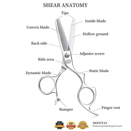 Moontay 5.5" Hair Cutting Shears with Large Finger Holes, Professional Barber Stylist Thinning Shears, Salon Hair Cutting Scissors, 440C Japanese Stainless Steel, Silver