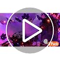 Black Halloween Garland with Orange Purple Lights 3 Pack - Timer Function