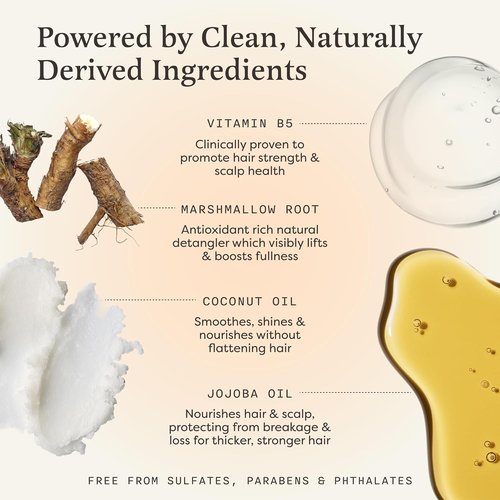 The Earthling Co. Shampoo Bar - Promote Hair Growth & Strengthen All Hair Types - Vegan, Paraben-Free (Vanilla Coconut, 3 oz)