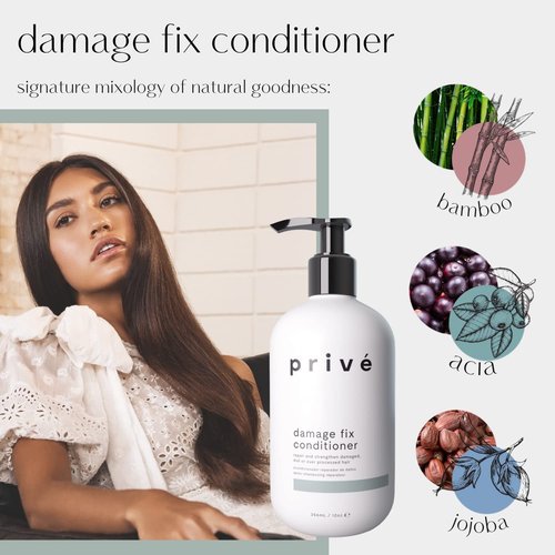 Prive Damage Fix Conditioner - Repairs Dry and Over-Processed Hair from Within Protects Future Additional (12 Oz)