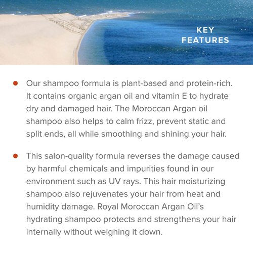 Royal Moroccan Sulfate Free Shampoo | Argan Oil Shampoo | Shampoo for Color Treated Hair | Moisturizing Shampoo Argan Oil Hair Products (1000 ml 33.8 oz)