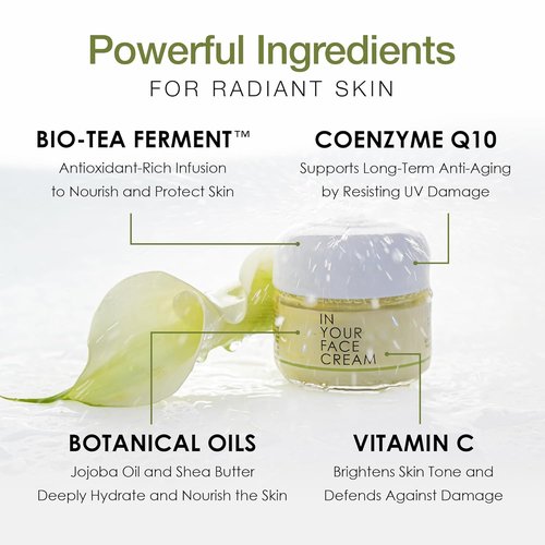 **IN YOUR FACE Anti-Wrinkle Cream - Luxurious Hydrating Moisturizer with Coenzyme Q10 & Vitamin C | Youthful Skin**