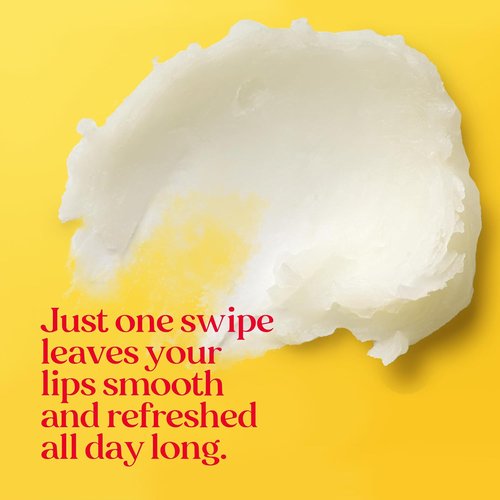 Burt's Bees Vanilla Maple Lip Balm - Moisturizing Formula for Unisex | 0.15 oz
