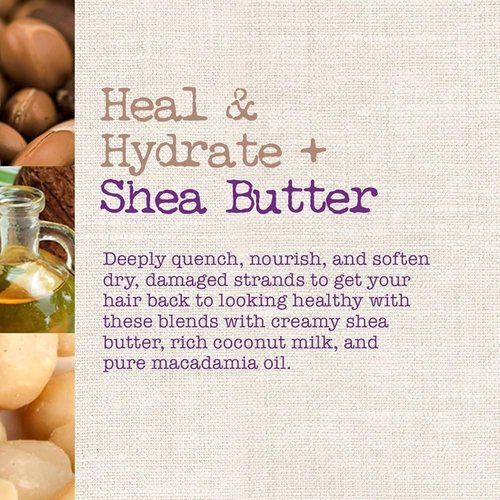 Maui Moisture Shea Butter Hair Mask 12 Ounce Jar (Heal/Hydrate) (354ml) (3 Pack)