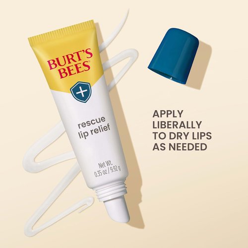 Burt's Bees Lip Relief Balm - 100% Natural Shea Butter & Echinacea - 0.35 Ounces