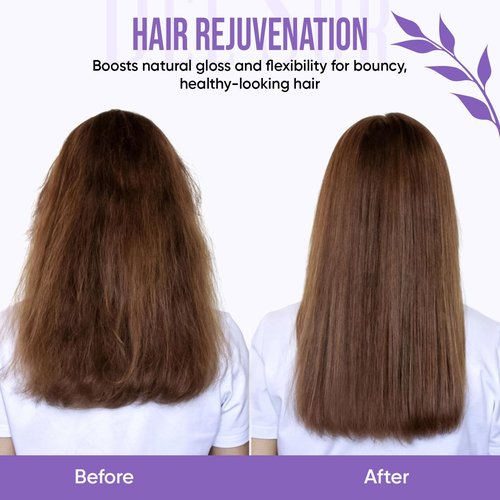 DEL SUR Hair Repair Shampoo & Conditioner Set - Moisturizing & Damage Repair | 16 fl oz Each | Infused with Camellia Japonica, Amino Acids, Biotin & Argan Oil