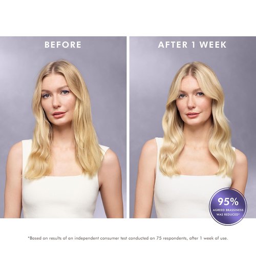 Moroccanoil Treatment Purple Hair Oil - Enhance Blonde Hair Color & Shine | 3.4 Fl Oz
