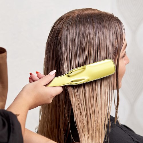 Daily Gard Detangling Hair Brush, Dry and Wet Detangler Hair Brush for Women and Men, Massager Scalp Brush for Straight//Long/Fine Hair, Gold