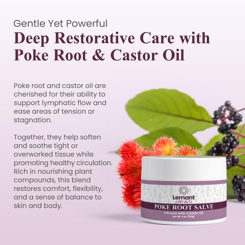 Lemant Organic Poke Root and Castor Oil Salve (4 oz) - Herbal Poke Root Salve infused with Castor Oil, Calendula, Plantain, Red Clover, Boswellia, Shea Butter, and Lavender