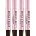 Burt's Bees Shimmer Lip Tint Set - Moisturizing Tinted Lip Balm Sticks for All-Day Hydration | Champagne (4-Pack)