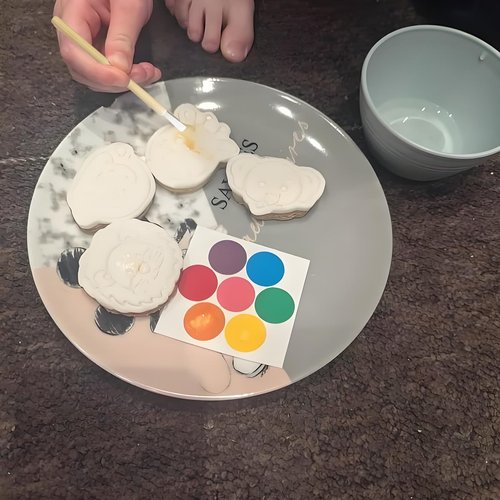 PYO Cookie Paint Brush Disposable Lip Brushes Mini Paint Brush Cookies Disposable Nail Polish Brush Paint Your Own Cookie Food Safe Paint Brushes Mini Paint Brushes Cookies (50, Wooden)