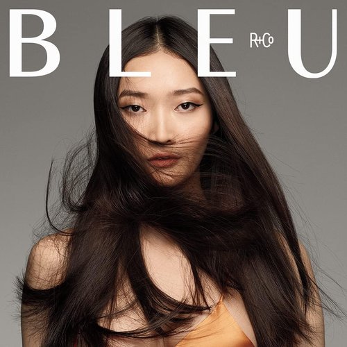 R+Co BLEU Smooth & Seal Blow Dry Mist - Frizz Control & Heat Protection | 5.1 oz