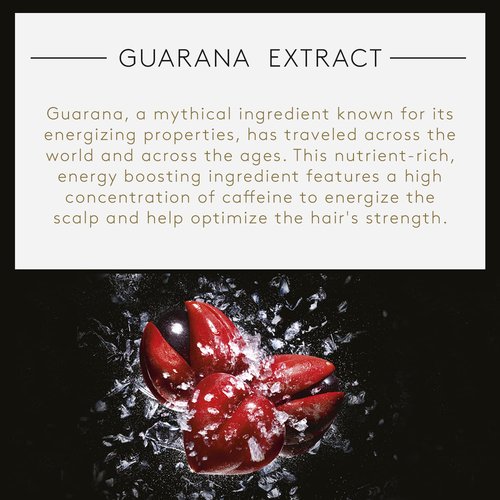 Rene Furterer Forticea Strengthening Shampoo - Energize Scalp with Rosemary Oil & Niacinamide - Sulfate-Free, Daily Use