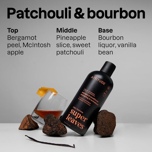 ATTITUDE Men's 2-in-1 Shampoo & Conditioner - Nourishing for Dry Hair & Scalp, 97% Natural, 14 Fl Oz