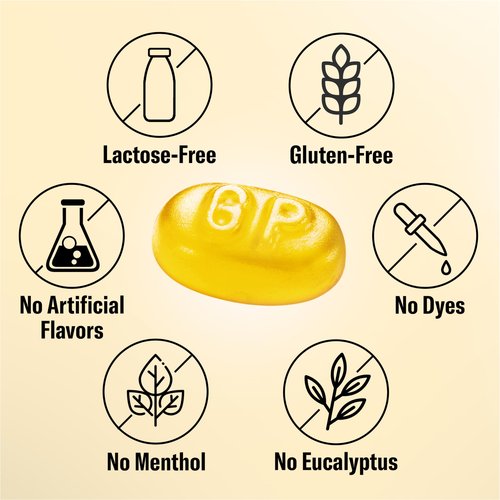 GRETHER'S Sugarfree New Flavor Ginger Lemon Pastilles Remedy for Dry Mouth Relief - Soothing Throat & Healthy Voice - Gift for Singers - 3.75 oz. 1 Pack