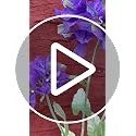 Artificial Hydrangea Flowers 3pcs - Large Faux Flower Branch Decor, Purple