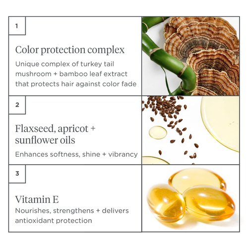 Briogeo Color Me Brilliant Primer - Protect Vibrant Hair Color | Vegan & Paraben-Free | 3.4 Ounces