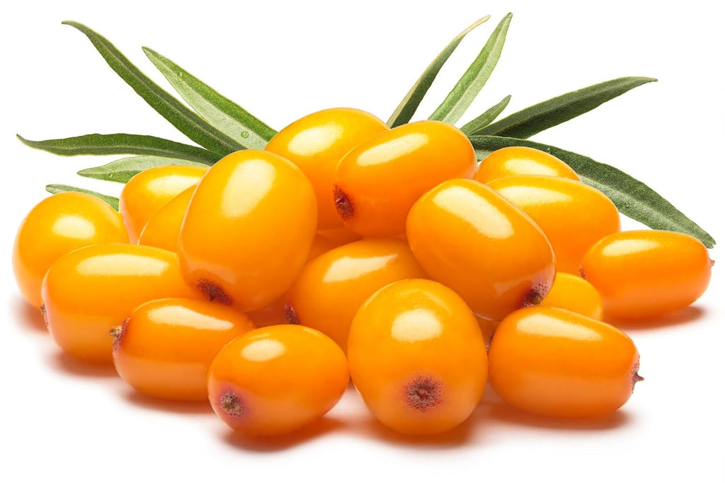 US Organic Sea Buckthorn Berry Oil - 100% Pure Virgin & Unrefined | Supercritical CO2 Extracted, 1 oz (30 ml)