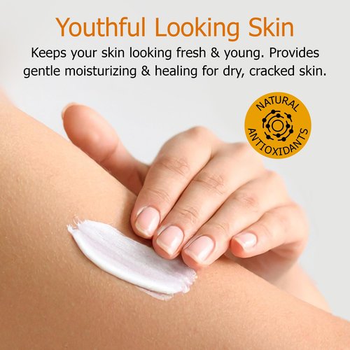 Fruit of the Earth Vitamin E Lotion 16 oz (2 Pack)