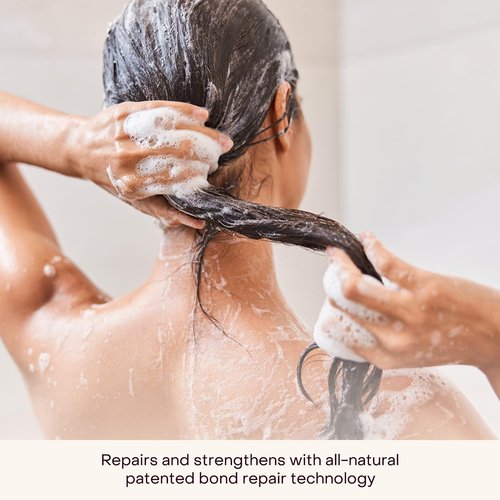 Everist Haircare Travel Duo - Shampoo & Deep Conditioning Concentrate Set | Deep Hydration, Aloe Vera, 2 x 0.7 fl oz