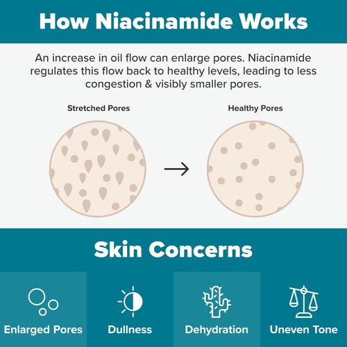Paula's Choice Skin Balancing Pore-Reducing Face Toner with Niacinamide for Combination & Oily Skin, Minimizes Large Pores, Controls Oil & Shine, Acne-Prone Friendly, Travel Size, 1 Fl Oz