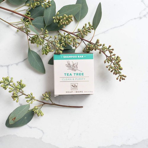 Soapbox Tea Tree Shampoo Bar for Dry Scalp | Natural, Eco Friendly, Vegan | Color Safe, free of Sulfates, Parabens, Silicones, Cruelty Free, 3.1oz (Pack of 1)