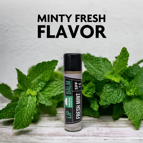 Pacific Shaving Company 2 Nick Sticks + 1 Fresh Mint Lip Balm SPF 15 - A Shave Essential - Puts Nicks in Their Place - Liquid Roll-On Applicator, Dries Clear - With Vitamin E & Aloe Vera (3 Pieces)