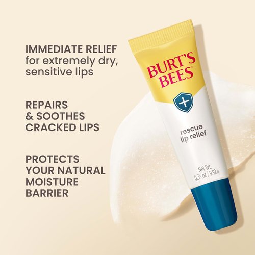 Burt's Bees Lip Relief Balm - 100% Natural Shea Butter & Echinacea - 0.35 Ounces