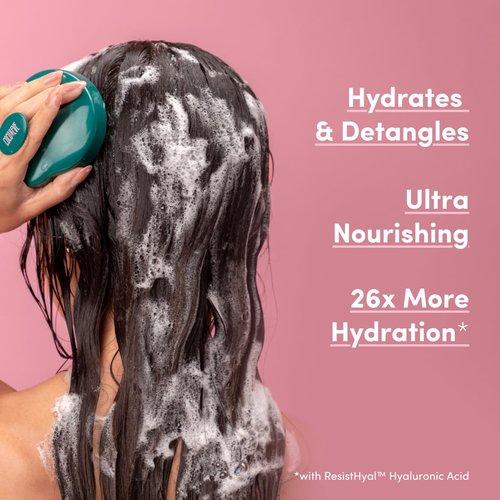 Coco & Eve Like a Virgin Shampoo & Conditioner Bundle - Natural, Sulfate-Free Hair Care with Argan Oil | 8.4 fl oz Each for Dry, Color-Treated Hair