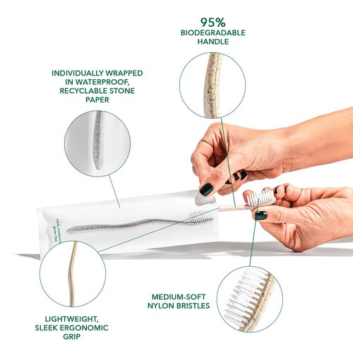 Terra & Co. Gentle Green Toothbrushes – 10-Pack of Plastic-Free Toothbrushes with Soft Bristles for Sensitive Teeth & Gums – Individually Sealed – BPA-Free, Plant-Based, Eco-Friendly & Travel-Ready