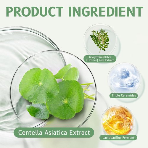 GROEI Centella Asiatica Intensive Hydration Cream, 85% Natural Ingredients, Long-Lasting Moisturizer for Sensitive Skin, 50g