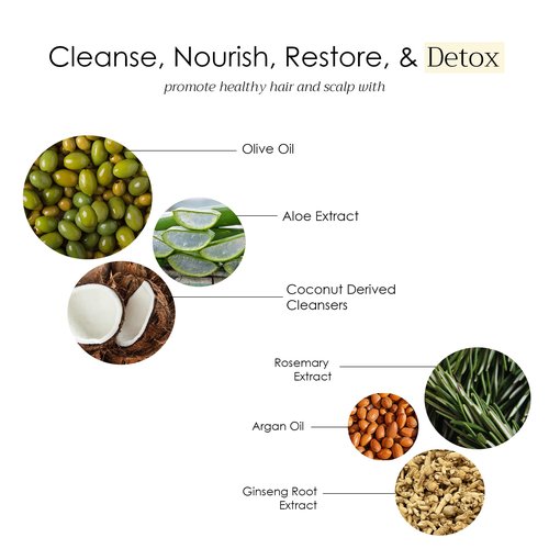 Natural Non Toxic Shampoo-Made with Olive Oil, Argan Oil, & Biotin, No Artificial Fragrance, Nourishing Ingredients, For All Hair Types, Family Owned (Sandalwood)