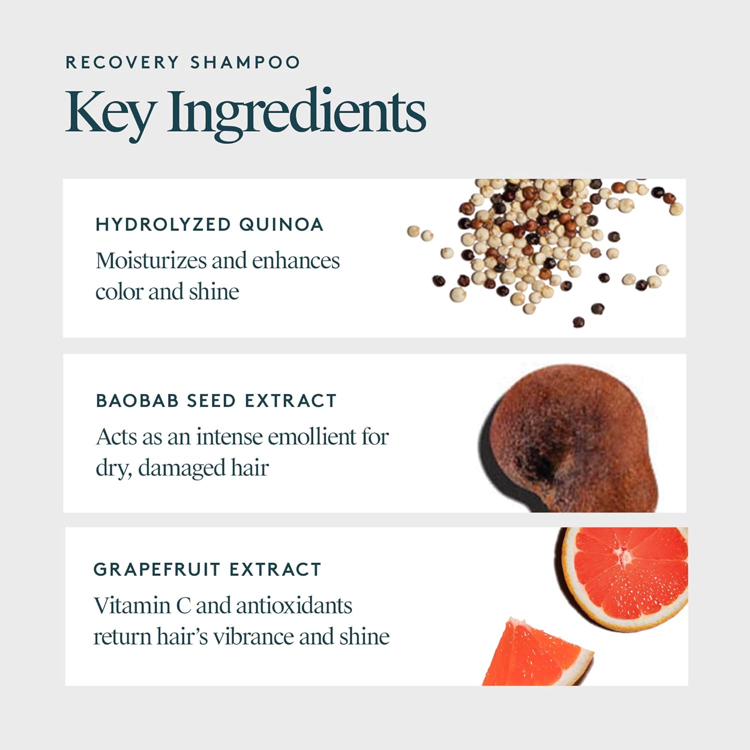 VIRTUE Recovery Shampoo - Sulfate-Free Formula with Keratin & Baobab Oil for Damaged Hair | Color Safe