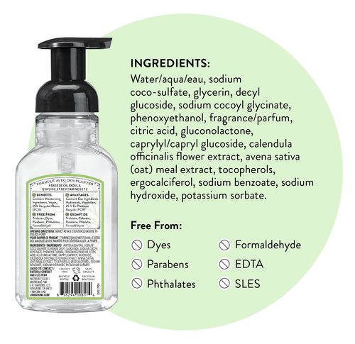 J.R. Watkins Foaming Hand Soap with Pump Dispenser, Moisturizing Foam Hand Wash, Alcohol-Free, Cruelty-Free, Aloe et The Vert/Aloe & Green Tea, 9 fl oz, 3 Pack