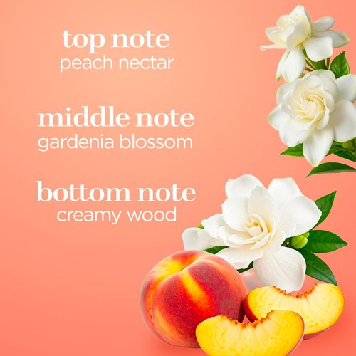 Body Fantasies Signature Body Spray - Sweet Sunrise | 8 Fl Oz (Pack of 2) - Long-Lasting Fragrance