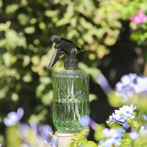 OFFIDIX Fine Mist Plant Mister - Handheld Glass Spray Bottle with Adjustable Nozzle | 0.43L/15.17oz - Light Green