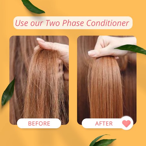 Morfose Professional Two Phase Leave-in Conditioner for Dry, Damaged, or Brittle Strands, Repairs and Protects, Damage, and Split Ends, 13.52 Fl. Oz (Biotin)
