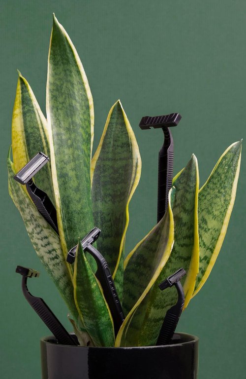 Biodegradable Wheatstraw Unisex Eco Friendly Razors