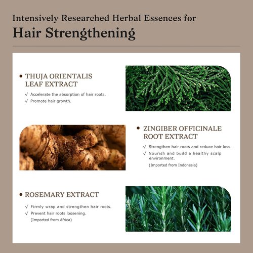 Biotin Ginger Volumizing Shampoo - Lightweight Cleansing for Oily Scalp & Fine Hair | Daily Refreshing Care
