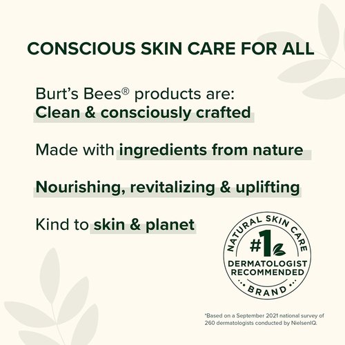 Burt's Bees Elderberry Lip Balm - Antioxidant-Rich, Tint-Free Natural Lip Care | 0.15 oz Tube