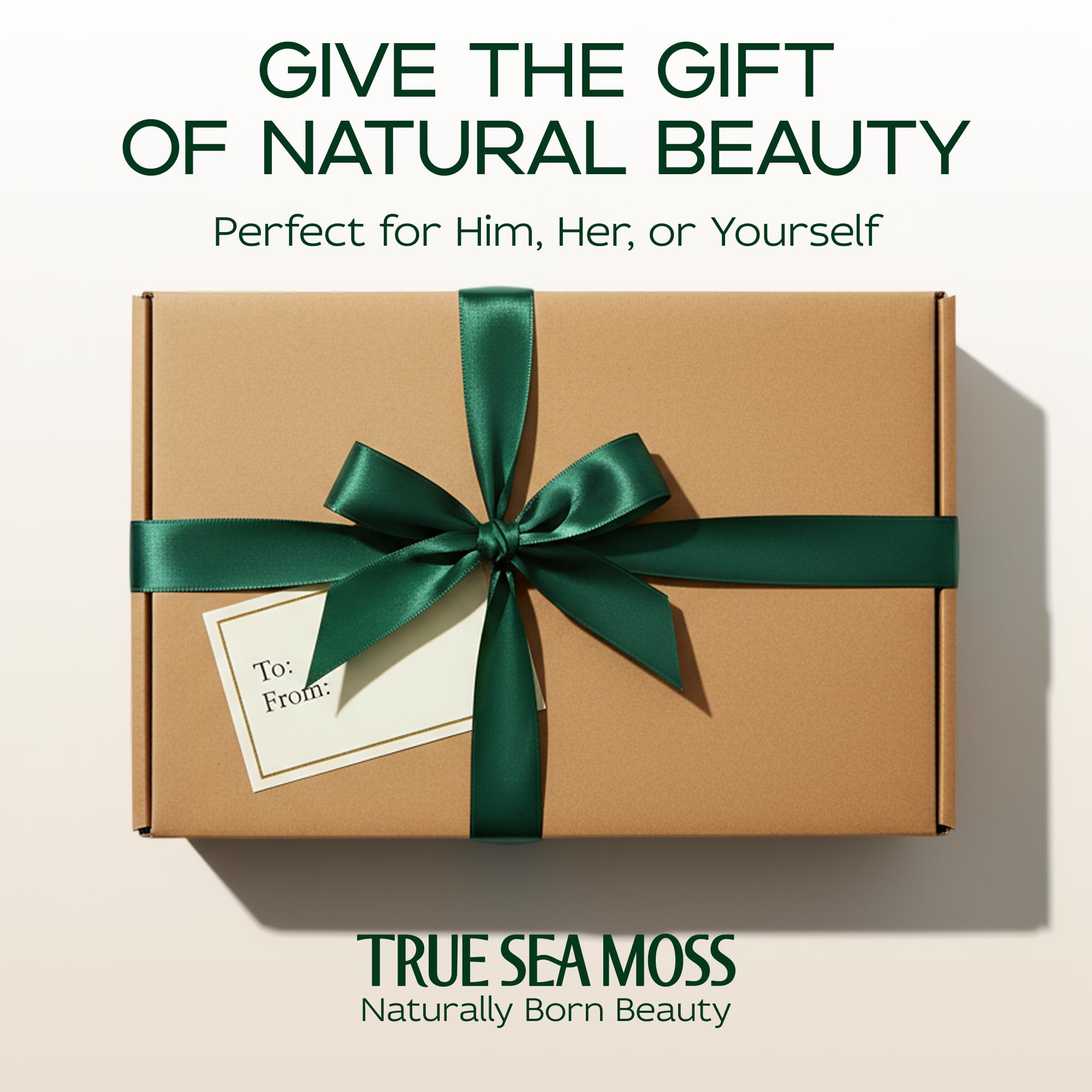 Wellness Gift Sea Moss Soap Bar – All-Natural Detox Soap with Coffee, Vanilla, Coconut & Oatmeal Honey – Gentle Handmade Foam for Sensitive Skin, Face & Body – Valentine's Gift for Men & Women