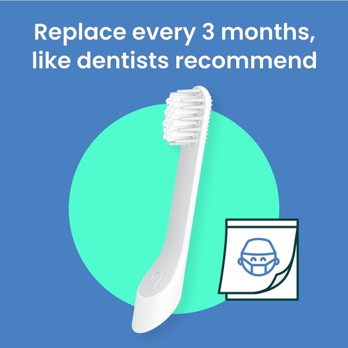 quip Sonic Toothbrush Replacement Heads for Kids - 3 Pack - Verified quip Small Brush Head Refills for Electric Toothbrushes - Soft Bristles, Compact & Flexible - Last 3 Months Each