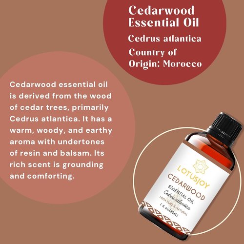 Cedarwood Essential Oil | Aromatic Diffuser Blend for Home - 1 Oz