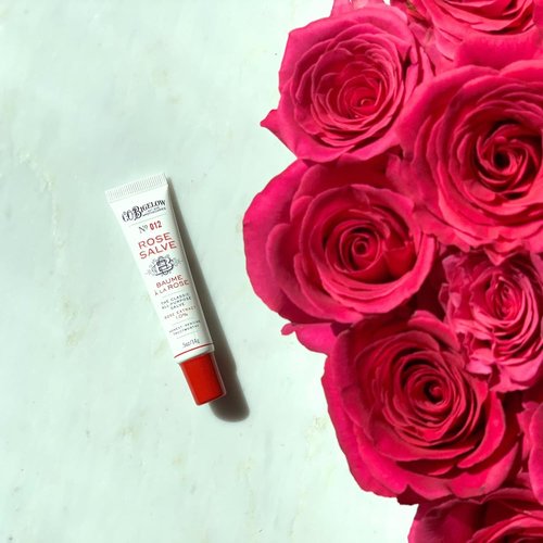 C.O. Bigelow Lip Balm Trio - Rose Salve, My Favorite Balm & Mentha Shine | 3-Pack, 0.5 oz