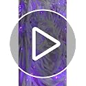 Halloween Outdoor Spider Web Lights with 350 LEDs & Giant Spider - Purple & Orange, 23Ft Web with 6.6Ft Spider, Waterproof & Timer