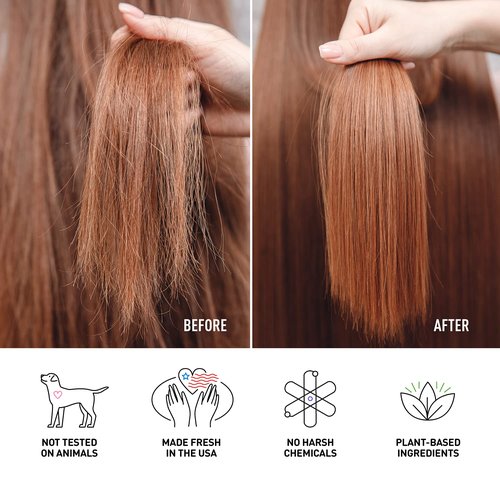 Just Nutritive Shampoo - Color Protect for Color Treated Hair | 16 fl. oz | Sulfate-Free & Handmade in USA