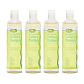 NOTHING BUT Clarifying Shampoo Sulfate-Free Detox for Natural Hair - Hair Shampoo - Removes Buildup - 12oz - Pack of 4