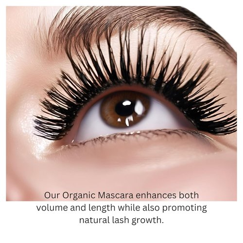 Skiennix Organic Mascara - Volume, Length, and Lash Growth Formula for Stunning Lashes